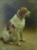 Репин И.Е. Собака (Пегас). 1894. ЕМИИ